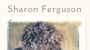 Hydrangeas by Sharon Ferguson